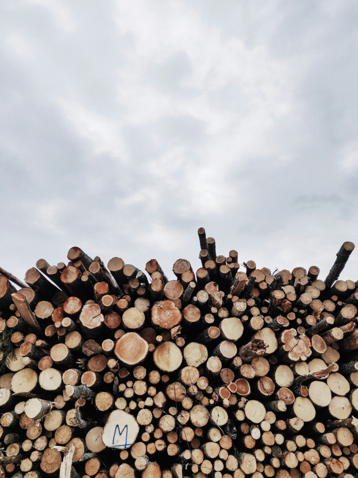 Timber Bytes Wombat Timbers – When it's your home, only the best will do!